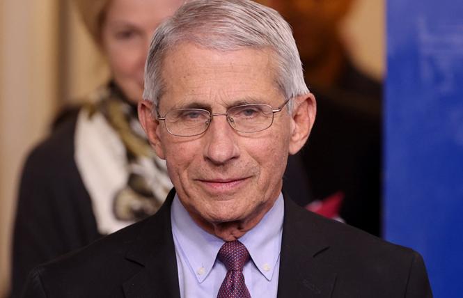 Dr. Anthony Fauci. Photo: Courtesy NBC News